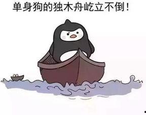 娱乐吃瓜酱隐形式单身,隐形式单身背后的故事