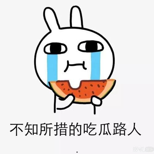 吃瓜全娱乐,揭秘娱乐圈幕后故事与热点事件